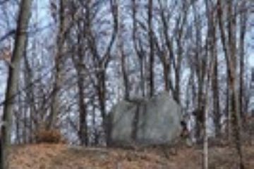 Grande masso grigio in mezzo ad alberi di alto fusto.