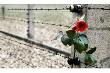 27 Gennaio 2026 - Giornata della Memoria