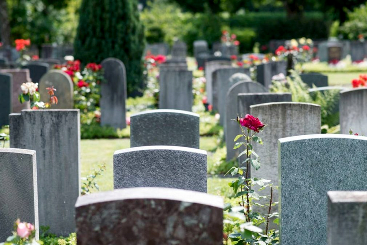 Un cimitero coperto da un prato verde e diverse file di lapidi ornate da piante di rose rosse fiorite.